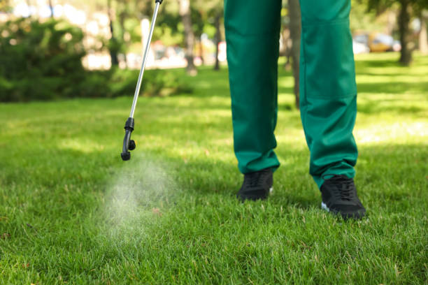 Best Wasp Removal Services  in Point Marion, PA