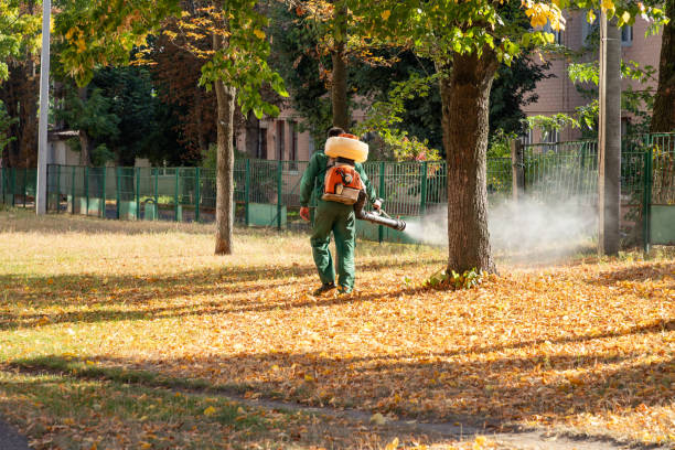 Best Pest Prevention Services  in Point Marion, PA