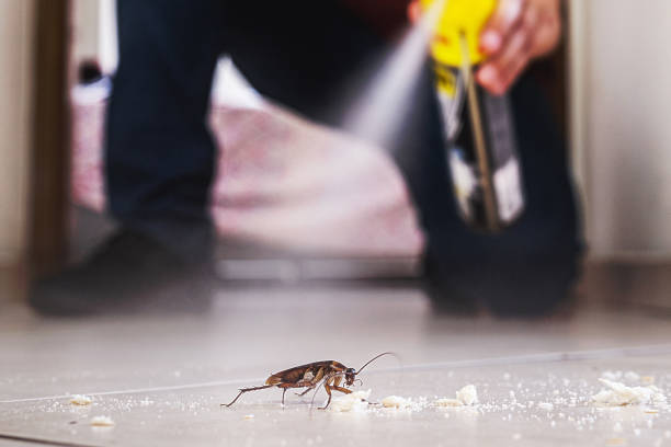 Best Pest Removal Services  in Point Marion, PA